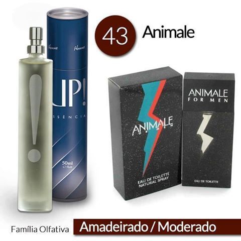 Animale_UP!43